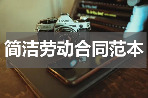 简洁劳动合同范本