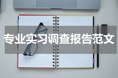 专业实习调查报告范文