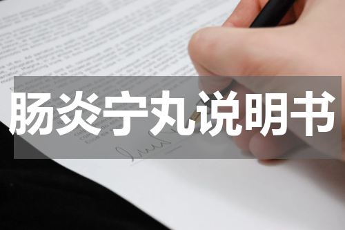 肠炎宁丸说明书