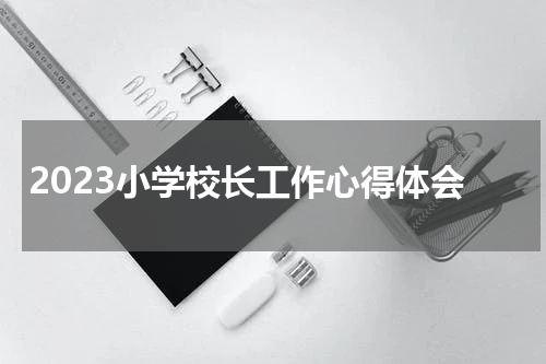 2023小学校长工作心得体会