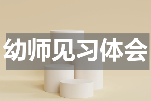 幼师见习体会