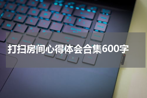 打扫房间心得体会合集600字