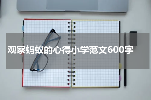 观察蚂蚁的心得小学范文600字