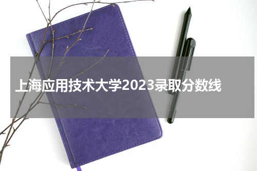 上海应用技术大学2023录取分数线是多少