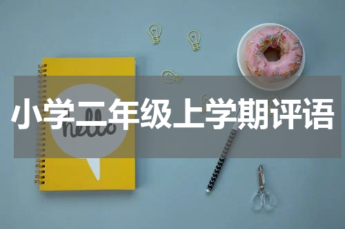 小学二年级上学期评语
