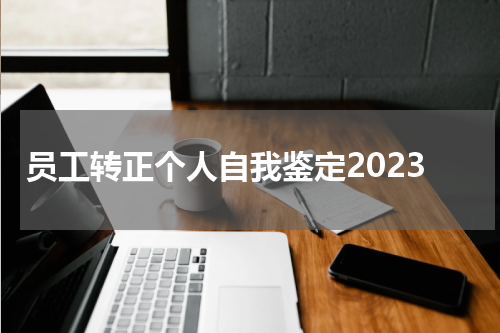 员工转正个人自我鉴定2023
