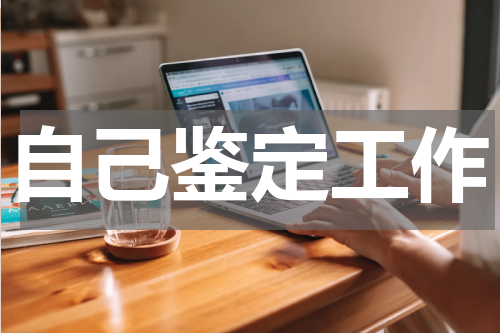 自己鉴定工作