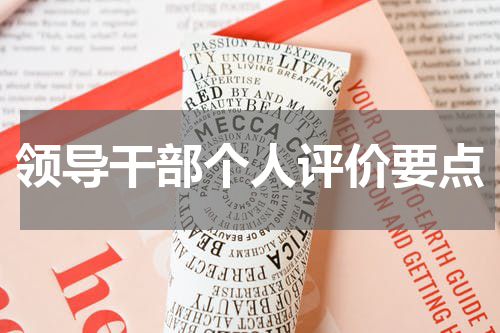 领导干部个人评价要点