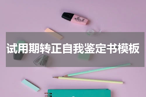试用期转正自我鉴定书模板