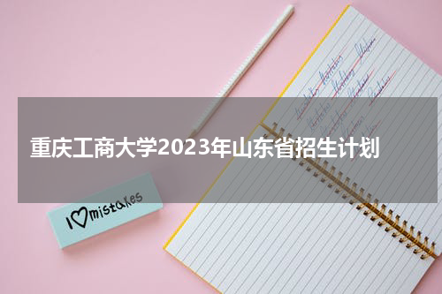 2023年重庆工商大学在山东的招生计划