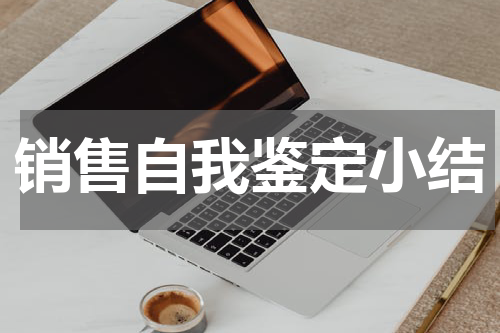 销售自我鉴定小结