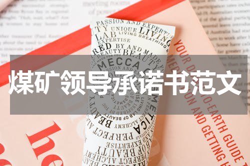 煤矿领导承诺书范文