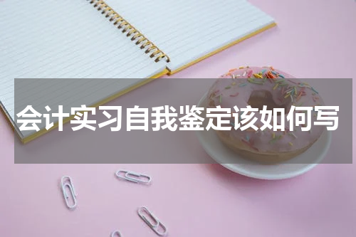会计实习自我鉴定该如何写