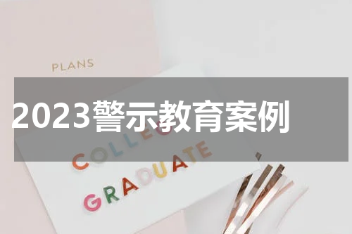 2023警示教育案例