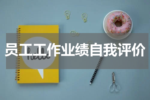 员工工作业绩自我评价