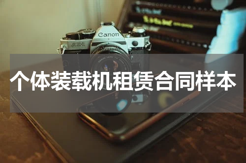 个体装载机租赁合同样本