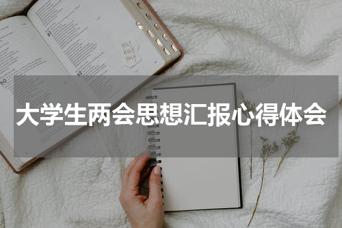 大学生两会思想汇报个人心得体会2023年