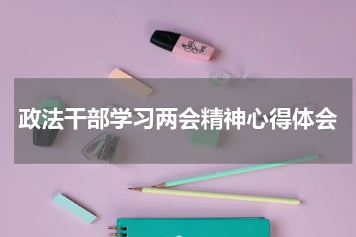 政法干部学习两会精神心得体会
