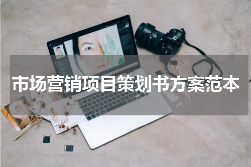 市场营销项目策划书方案范本