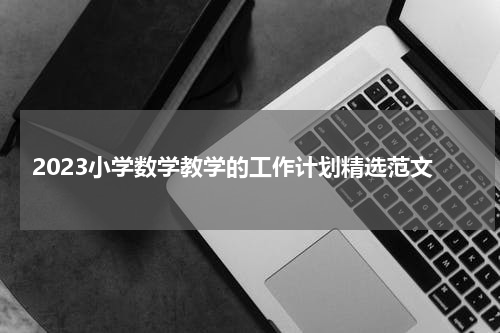 2023小学数学教学的工作计划精选范文
