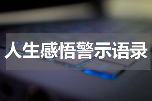 人生感悟警示语录