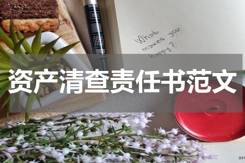 资产清查责任书范文