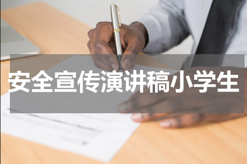 安全宣传演讲稿小学生