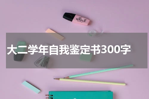 大二学年自我鉴定书300字