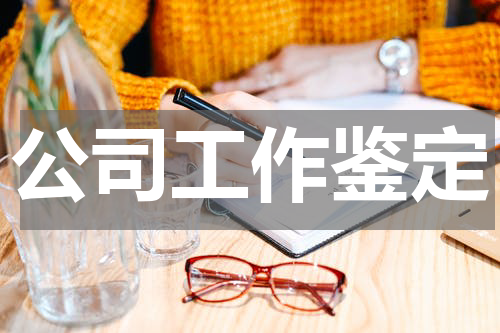 公司工作鉴定