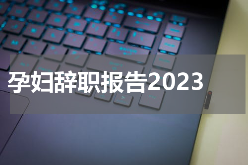 孕妇辞职报告2023