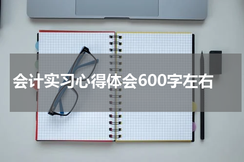 会计实习心得体会600字左右