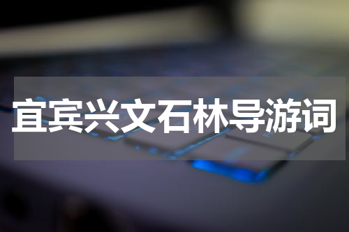 宜宾兴文石林导游词