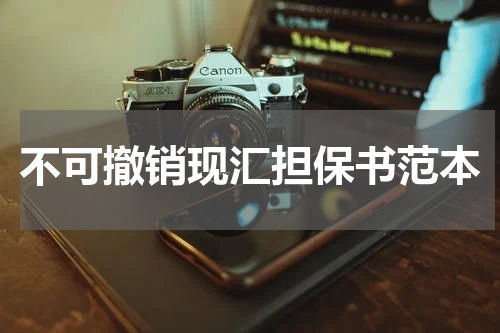 不可撤销现汇担保书范本