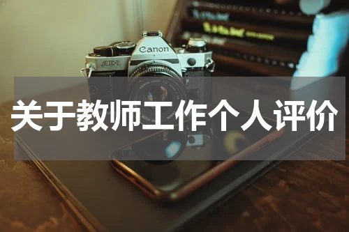 关于教师工作个人评价