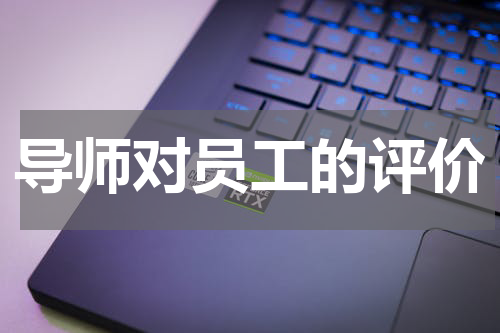 导师对员工的评价