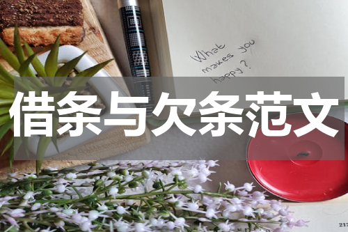 借条与欠条范文
