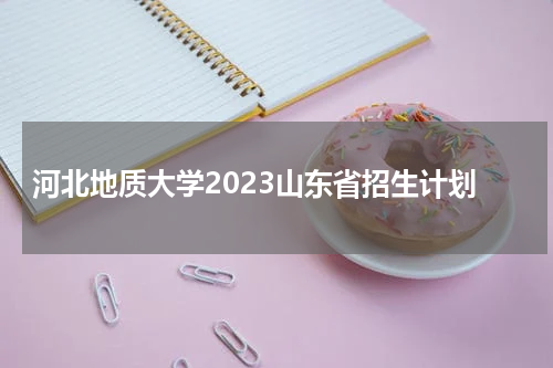 河北地质大学2023山东省招生计划表