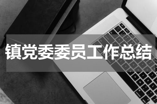 镇党委委员工作总结