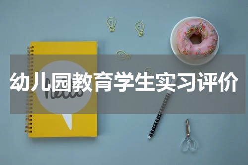 幼儿园教育学生实习评价