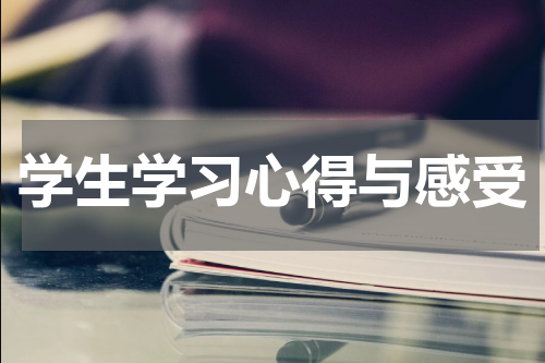 学生学习心得与感受