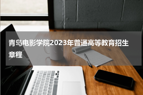 青岛电影学院2023年普通高等教育招生章程