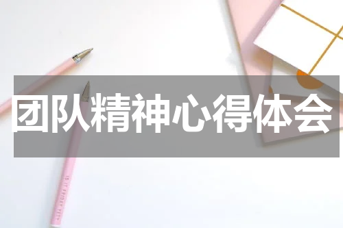 团队精神心得体会
