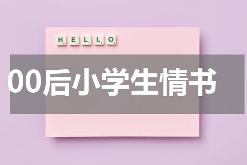 00后小学生情书