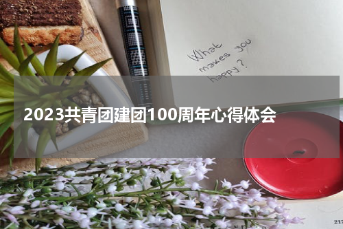 2023共青团建团100周年心得体会