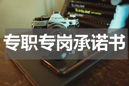 专职专岗承诺书