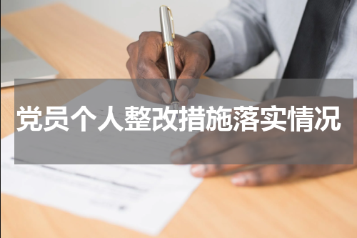 党员个人整改措施落实情况