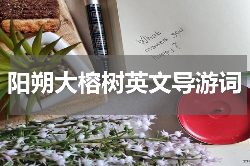 阳朔大榕树英文导游词