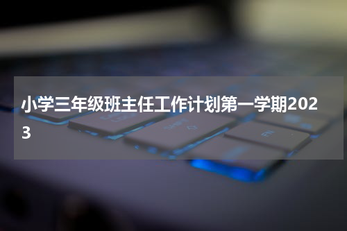 小学三年级班主任工作计划第一学期2023