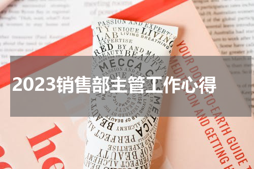 2023销售部主管工作心得