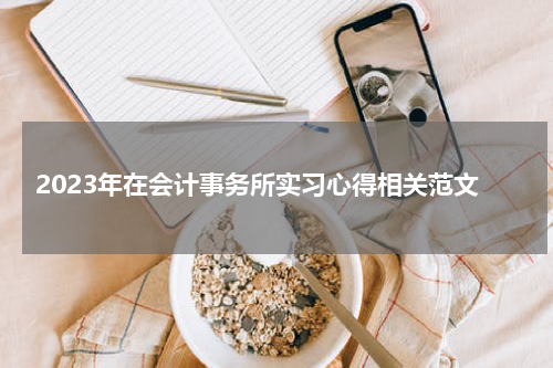 2023年在会计事务所实习心得相关范文